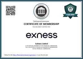 Exploring Exness Cy Ltd A Comprehensive Guide