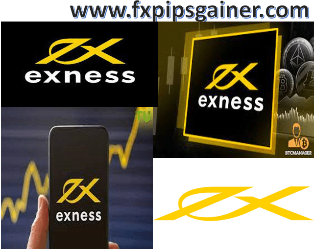 Exploring Exness Cy Ltd A Comprehensive Guide