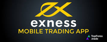 Exploring Exness Copy Trade A Guide to Successful Trading